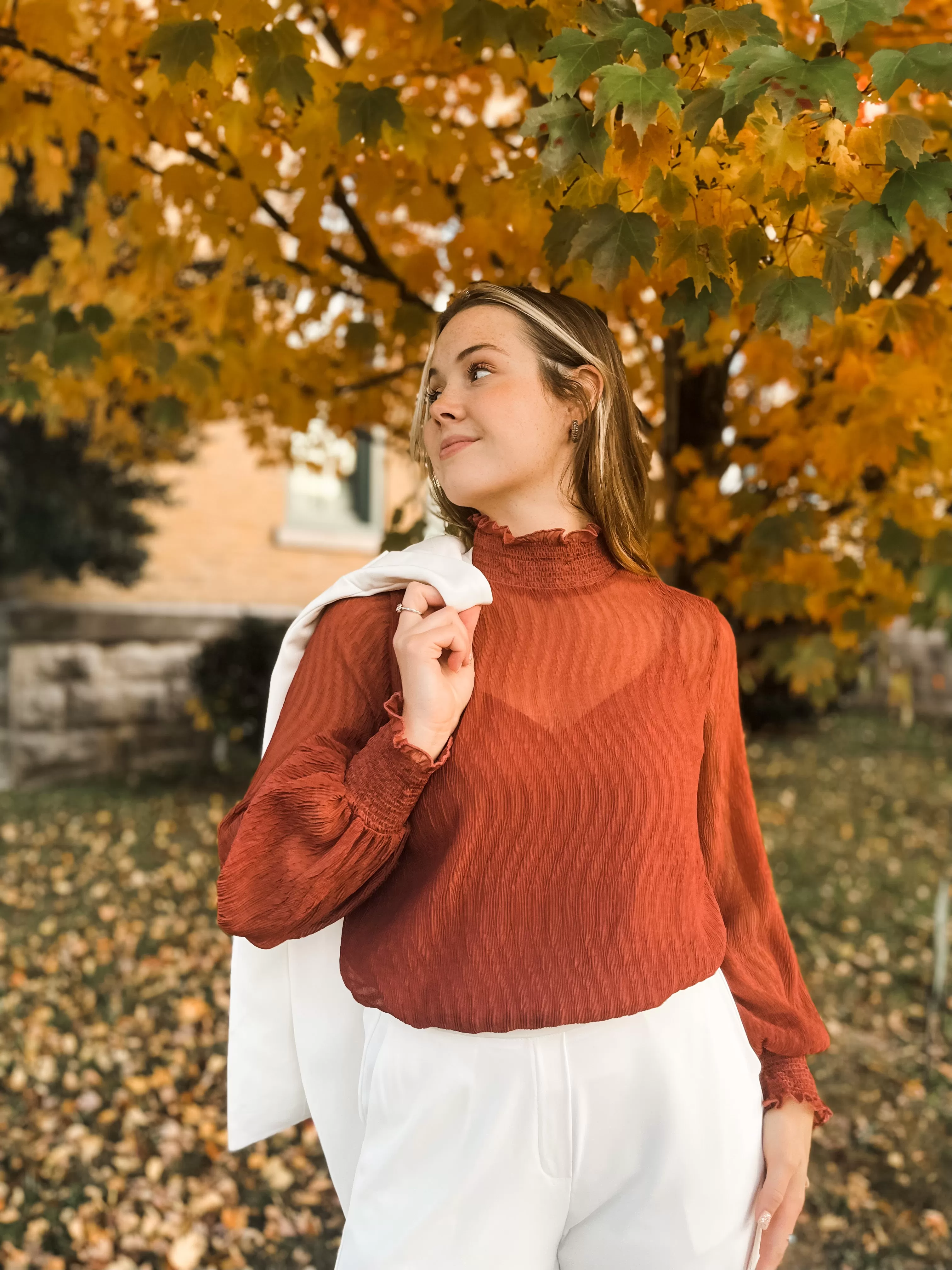 Christmas Cheer Sheer Blouse