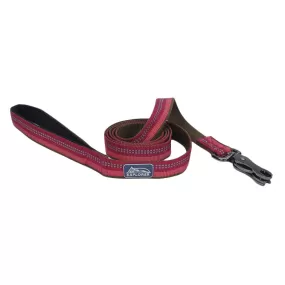 K9 Explorer Reflective Dog Leash with Scissor Snap, Berry 1 x 6'