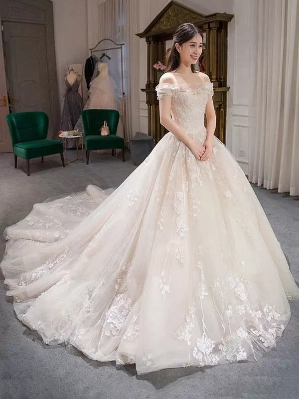 Princess Ball Gown Wedding Dresses Lace Embroidered Off Shoulder Royal Bridal Dress With Train